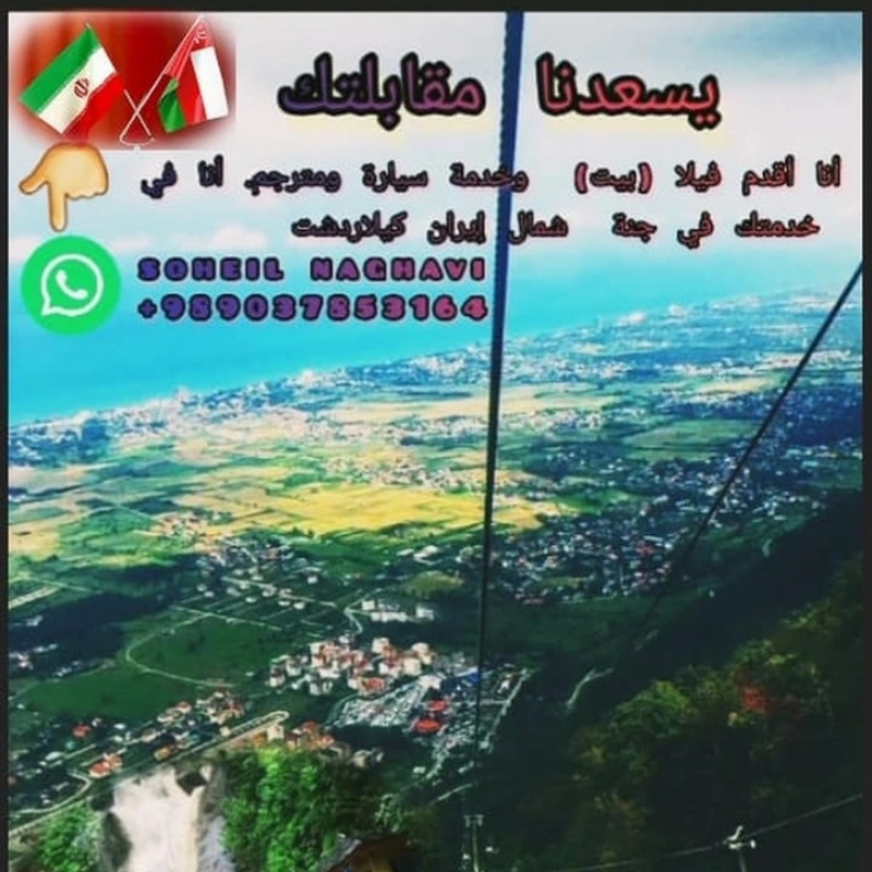 سهیل نقوی